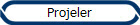 Projeler